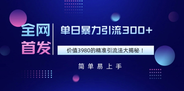 全网首发，价值3980单日暴力引流300+的精准引流法大揭秘-小白项目网