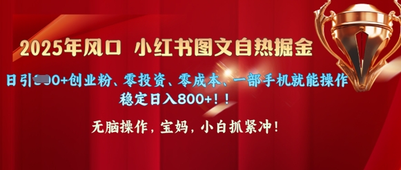 25年风口小红书图文掘金，日引300+创业粉、零投资、零成本、一部手机就能操作-小白项目网