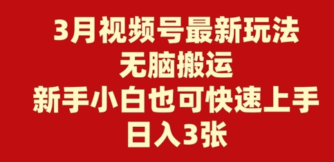 3月视频号最新玩法，无脑搬运，新手小白也可快速上手，日入3张-小白项目网