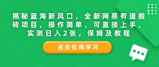 揭秘蓝海新风口，全新网易有道搬砖项目，操作简单，可直接上手，实测日入2张，保姆及教程-小白项目网