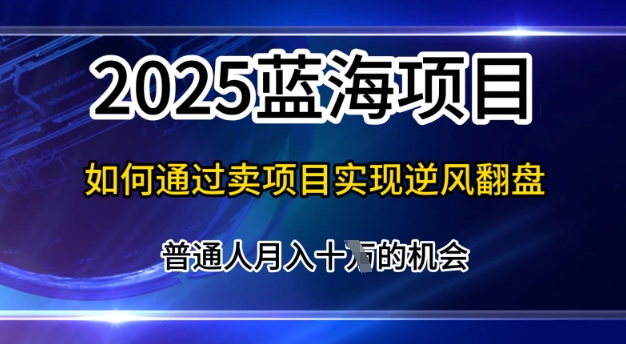 2025蓝海项目，普通人如何通过卖项目实现逆风翻盘，月入10个【揭秘】-小白项目网