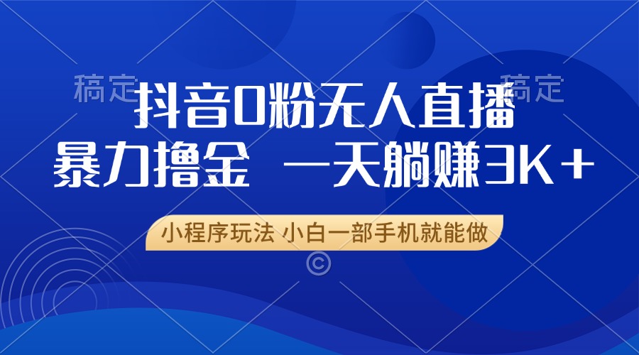 （13449期）抖音0粉无人直播暴力掘金，一天躺赚3K+，小白一部手机就能做-小白项目网