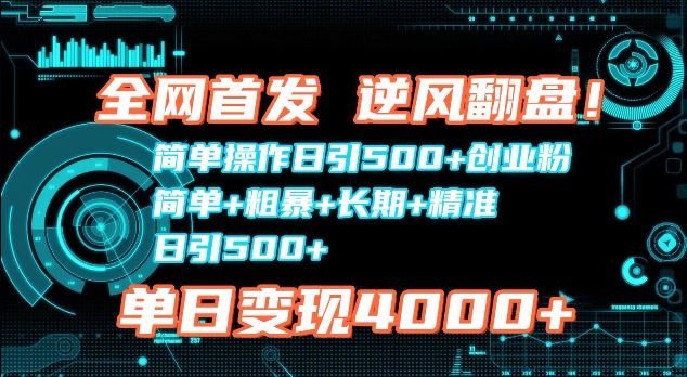 全网首发，简单操作日引500+创业粉，简单+粗暴+长期+精准-小白项目网