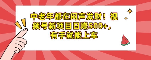 中老年都在闷声发财，视频号新项目日入多张，有手就能上车-小白项目网