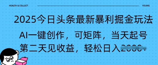 2025今日头条最新暴利掘金玩法，AI一键创作，可矩阵，当天起号，第二天见收益轻松日入多张-小白项目网