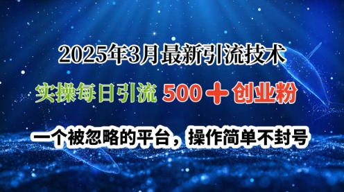 2025年3月最新引流技术，实操每日引流500+创业粉，一个被忽略的平台，操作简单不封号-小白项目网