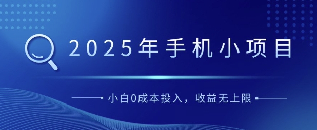 2025年手机小项目，简单易学，小白0成本投入，多劳多得-小白项目网