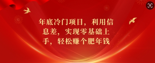 年底冷门项目，利用信息差，实现零基础上手，轻松赚个肥年钱【揭秘】-小白项目网