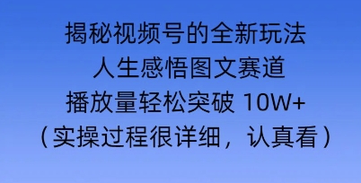 Deepseek和即梦结合，做一个【人生图文感悟】的视频号-小白项目网