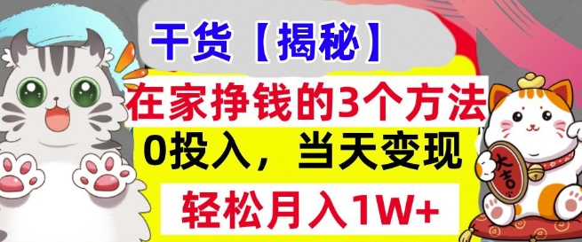 在家挣钱的3个方法，0投入，当天变现，轻松月入过W-小白项目网