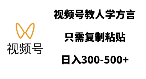 视频号教人学方言，只需复制粘贴，日入多张-小白项目网