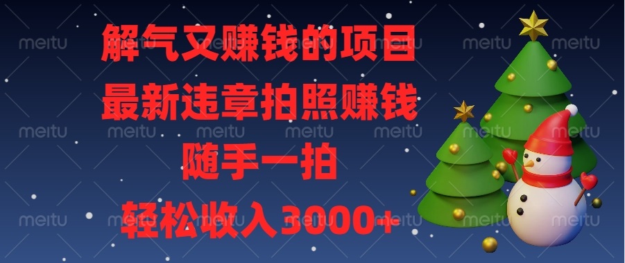 （13686期）解气又赚钱的项目，最新违章拍照赚钱，随手一拍，轻松收入3000+-小白项目网