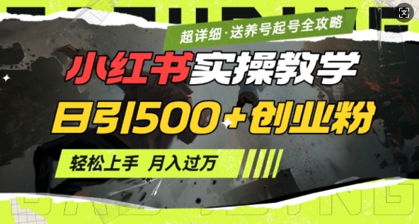 2月小红书最新日引500+创业粉实操教学【超详细】小白轻松上手，月入1W+，附小红书养号起号SOP-小白项目网