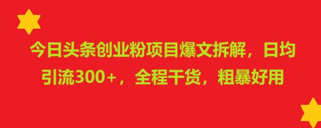 今日头条创业粉项目爆文拆解，日均引流300+，全程干货，粗暴好用-小白项目网