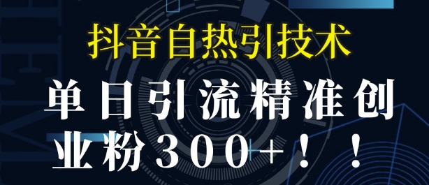 抖音自热引流，单日引流精准创业粉300+-小白项目网