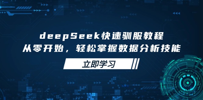 （14536期）deepSeek快速驯服教程，从零开始，轻松掌握数据分析技能-小白项目网