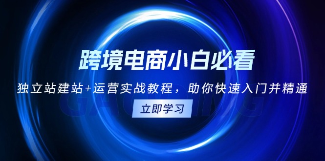 （13503期）跨境电商小白必看！独立站建站+运营实战教程，助你快速入门并精通-小白项目网