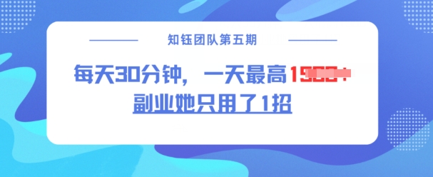 副业她只用了1招，每天30分钟，无脑二创，一天最高1.5k-小白项目网