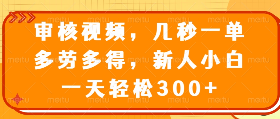 （14294期）审核视频，几秒一单，多劳多得，新人小白一天轻松300+-小白项目网