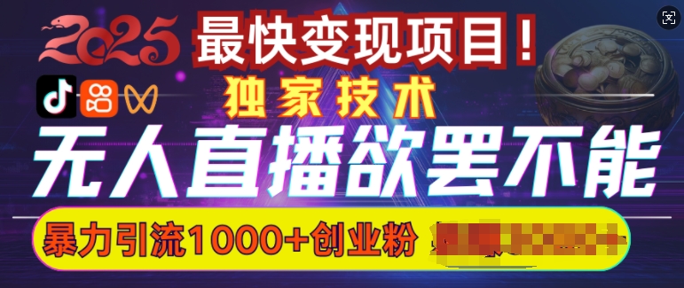 欲罢不能的无人直播引流，超暴力日引流1000+高质量精准创业粉-小白项目网