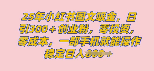 2025年小红书创业粉图文自热教程，日+300创业粉，单日变现多张，无脑操作，宝妈，小白抓紧冲-小白项目网