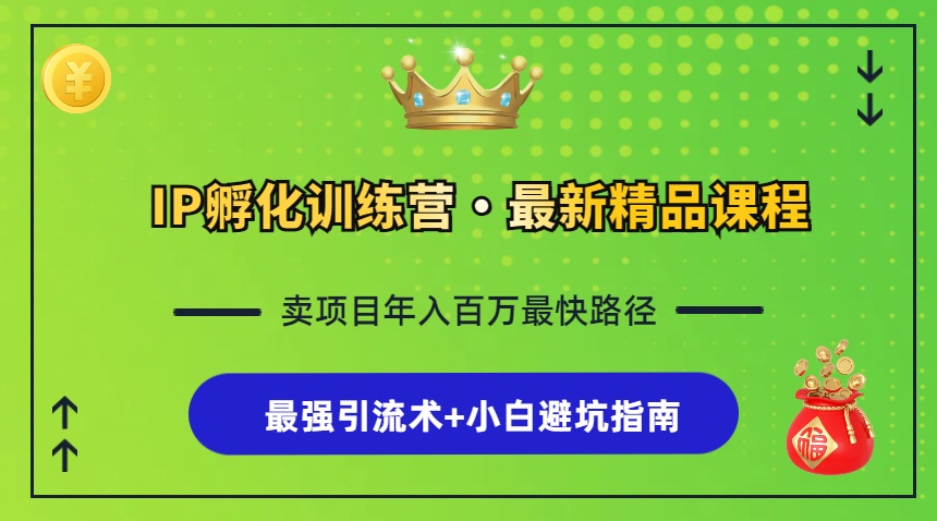 （13055期）IP孵化训练营，知识付费全流程+最强引流术+小白避坑指南-小白项目网