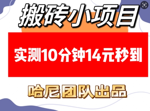 搬砖小项目，实测10分钟14元秒到，每天稳定几张(赠送必看稳定)-小白项目网