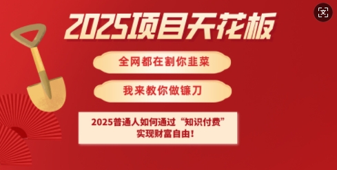 2025项目天花板普通人如何通过知识付费，实现财F自由【揭秘】-小白项目网