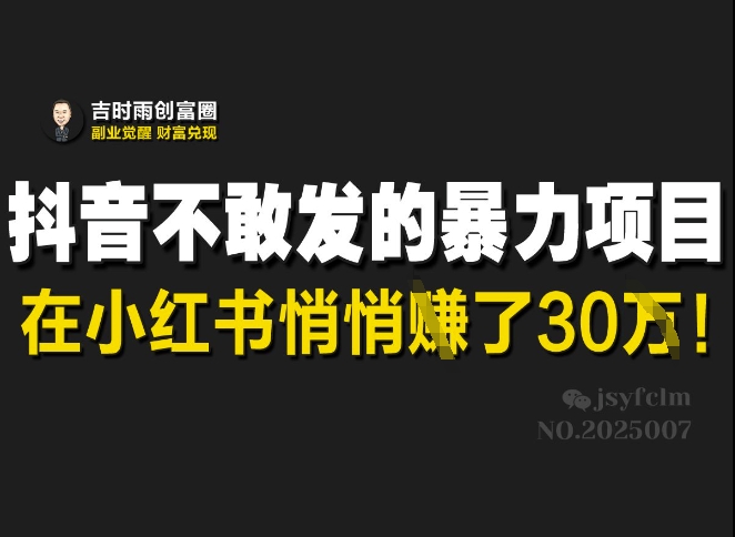 抖音不敢发的暴利项目，在小红书悄悄挣了30W-小白项目网