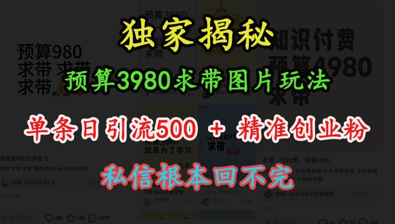 预算3980求带 图片玩法，单条日引流500+精准创业粉，私信根本回不完-小白项目网