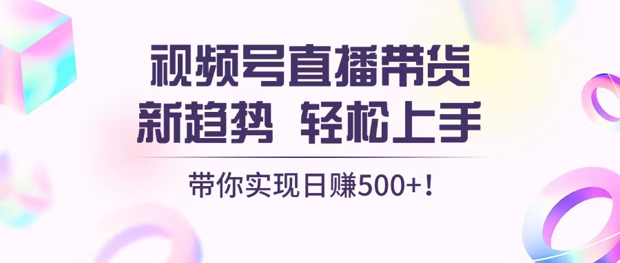 （13370期）视频号直播带货新趋势，轻松上手，带你实现日赚500+-小白项目网