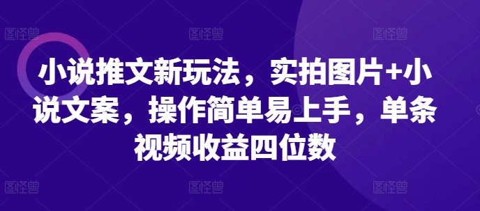 小说推文新玩法，实拍图片+小说文案，操作简单易上手，单条视频收益四位数-小白项目网