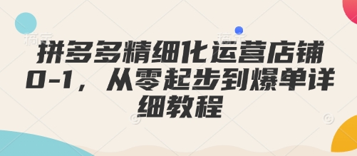 拼多多精细化运营店铺0-1，从零起步到爆单详细教程-小白项目网