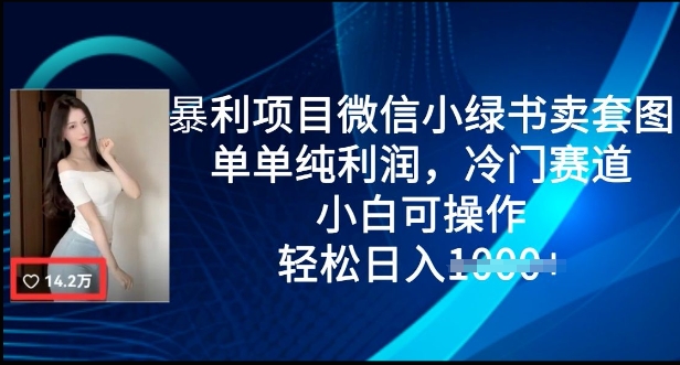 暴利项目微信小绿书卖套图，单单纯利润，冷门赛道， 小白可操作，轻松日入多张-小白项目网