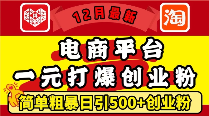 12月最新：电商平台1元打爆创业粉，简单粗暴日引500+精准创业粉，轻松月入过W【揭秘】-小白项目网