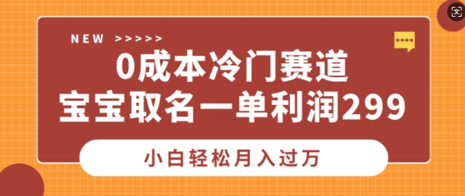 0成本冷门赛道，宝宝取名一单利润299，小白轻松月入过万-小白项目网