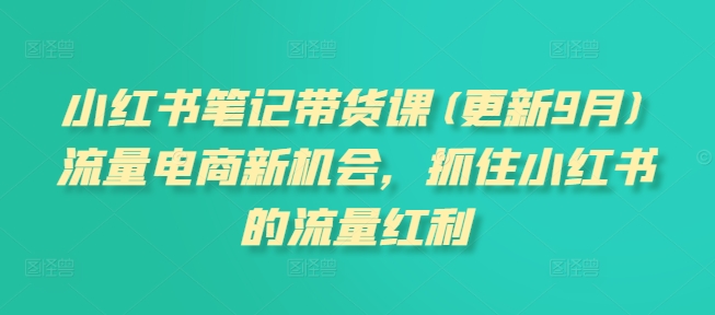 小红书笔记带货课(更新11月)流量电商新机会，抓住小红书的流量红利-小白项目网