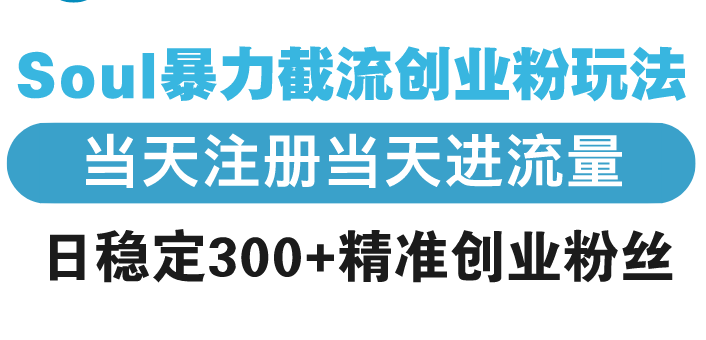 （13935期）Soul暴力截流创业粉玩法，当天注册当天进流量，日稳定300+精准创业粉丝-小白项目网