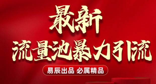 最新“流量池”无门槛暴力引流(全网首发)日引500+-小白项目网