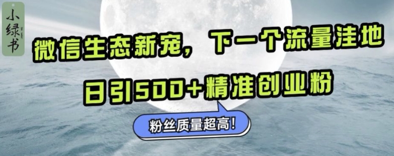 微信生态新宠小绿书：下一个流量洼地，日引500+精准创业粉，粉丝质量超高-小白项目网