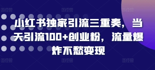 小红书独家引流三重奏，当天引流100+创业粉，流量爆炸不愁变现【揭秘】-小白项目网