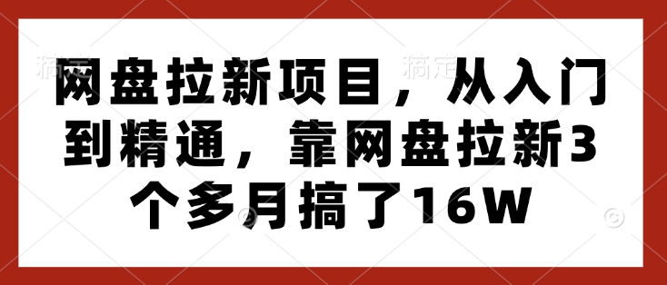 网盘拉新项目，从入门到精通，靠网盘拉新3个多月搞了16W-小白项目网