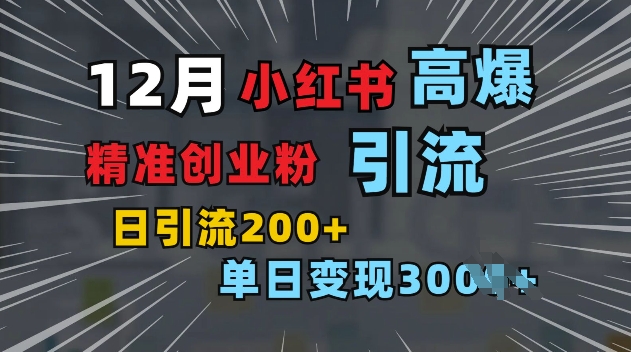 小红书一张图片“引爆”创业粉，单日+200+精准创业粉 可筛选付费意识创业粉【揭秘】-小白项目网